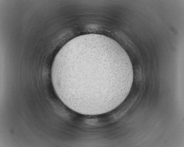 X0000113870653200910221335