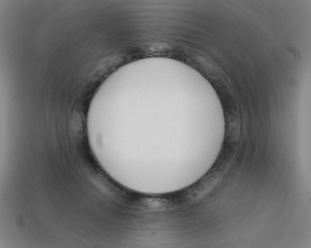 X0000113870654200910221336