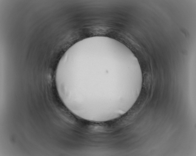 X0000113870655200910221336