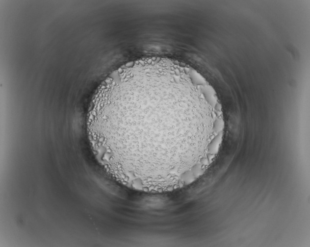 X0000113870659200910221336