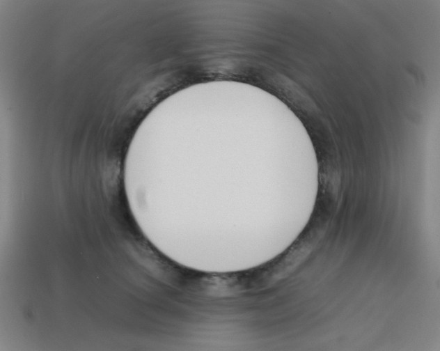 X0000113870660200910221336
