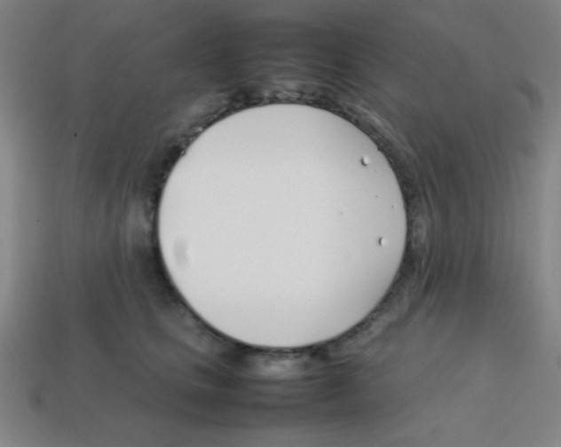 X0000113870661200910221336