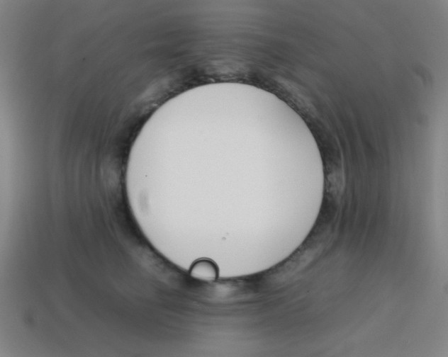 X0000113870662200910221336
