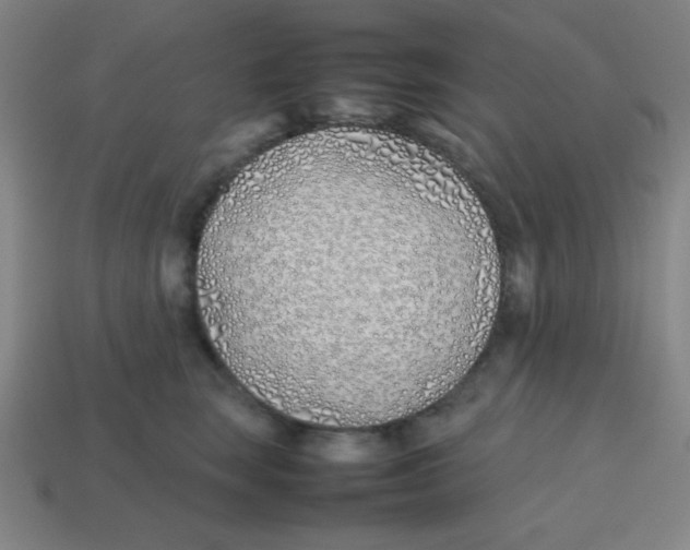X0000113870663200910221336
