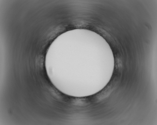 X0000113870664200910221336