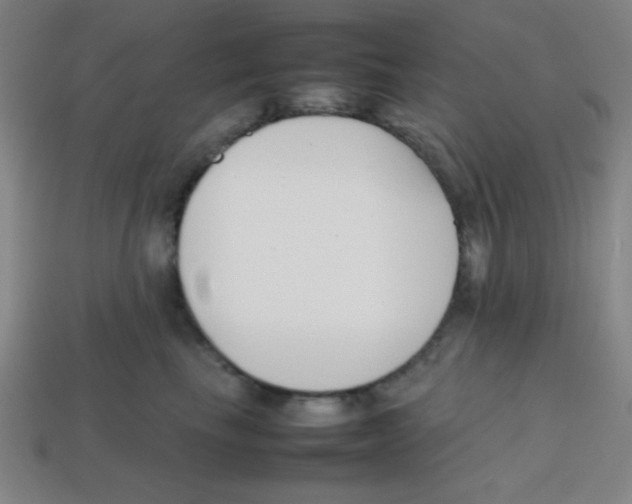X0000113870665200910221336