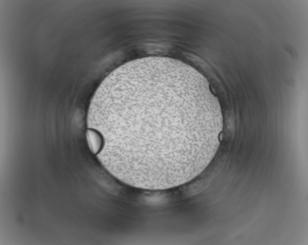 X0000113870667200910221336