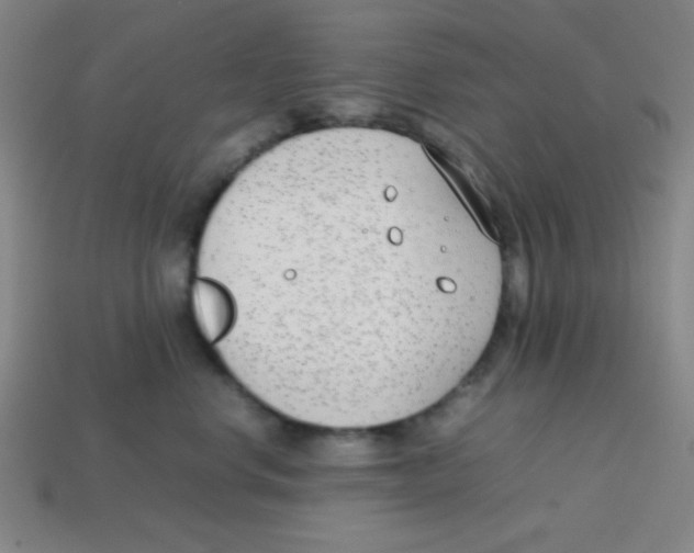 X0000113870668200910221336