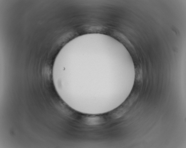 X0000113870669200910221336