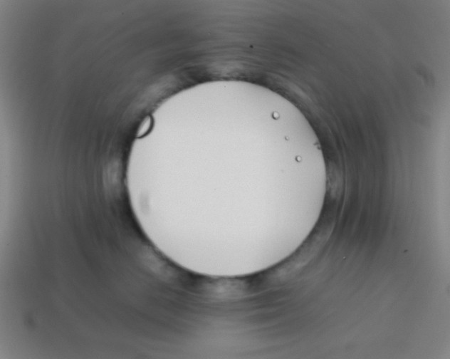X0000113870670200910221336