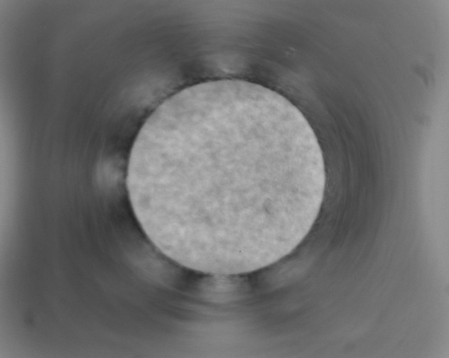 X0000113870672200910221336