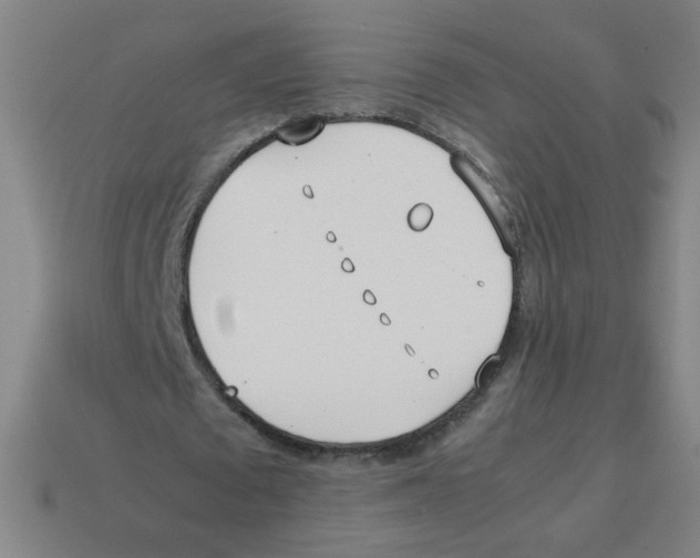 X0000113870673200910221335
