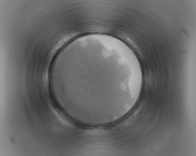 X0000113870674200910221335