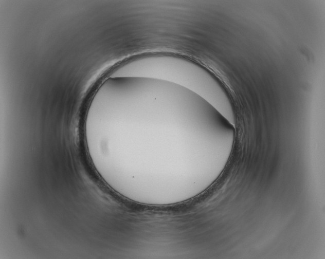 X0000113870676200910221335