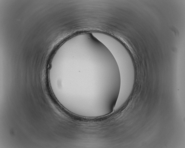 X0000113870677200910221335