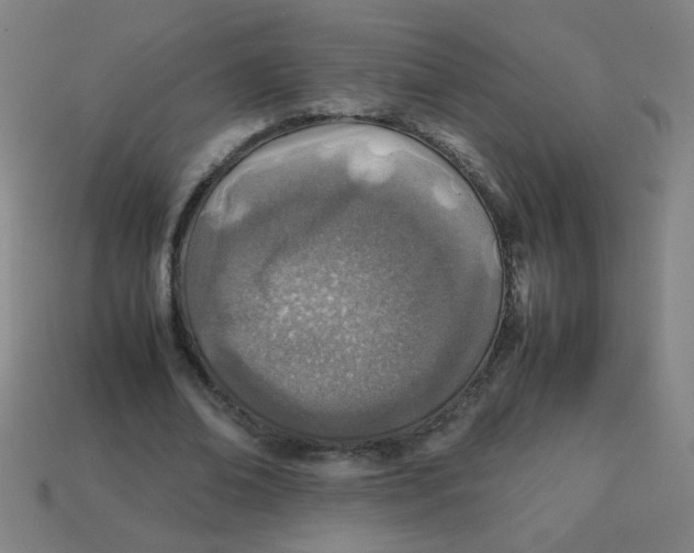 X0000113870678200910221335