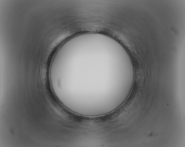 X0000113870679200910221335