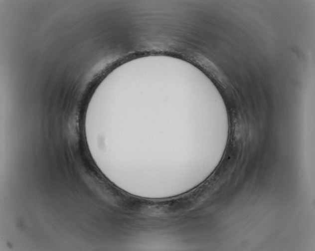 X0000113870680200910221335