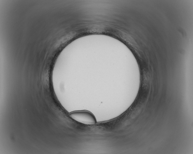 X0000113870681200910221335
