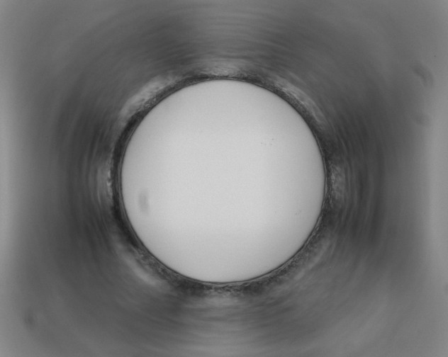 X0000113870682200910221335