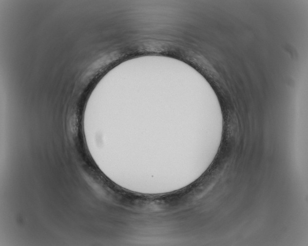 X0000113870683200910221335