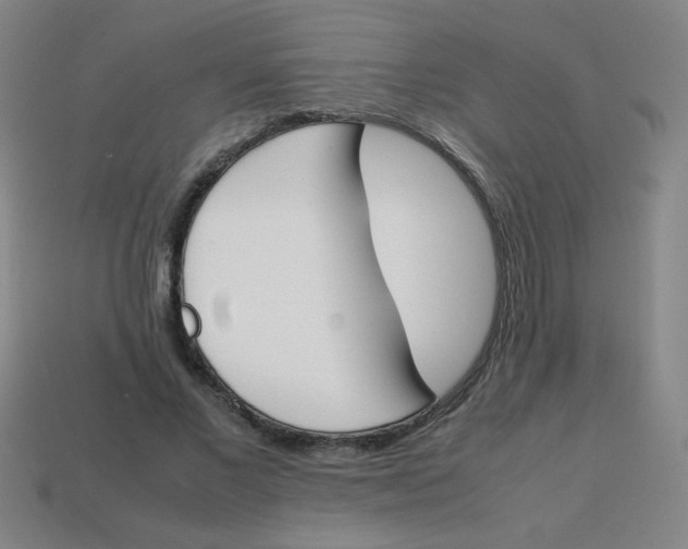 X0000113870685200910221335