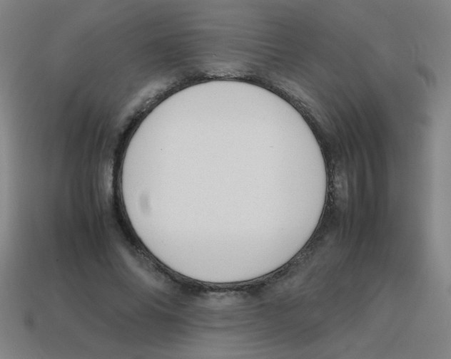 X0000113870686200910221335