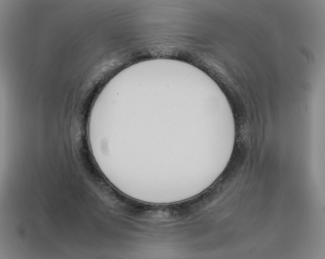 X0000113870687200910221335