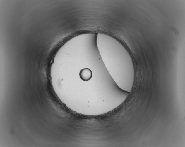 X0000113870688200910221335
