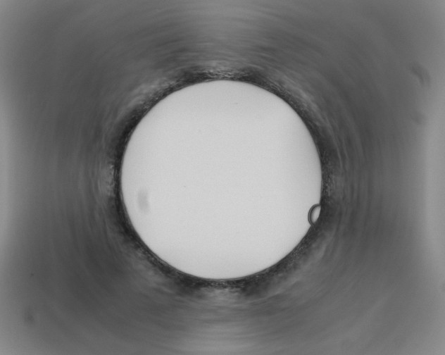 X0000113870689200910221335
