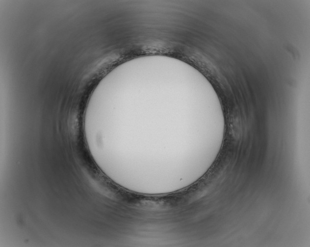 X0000113870690200910221335