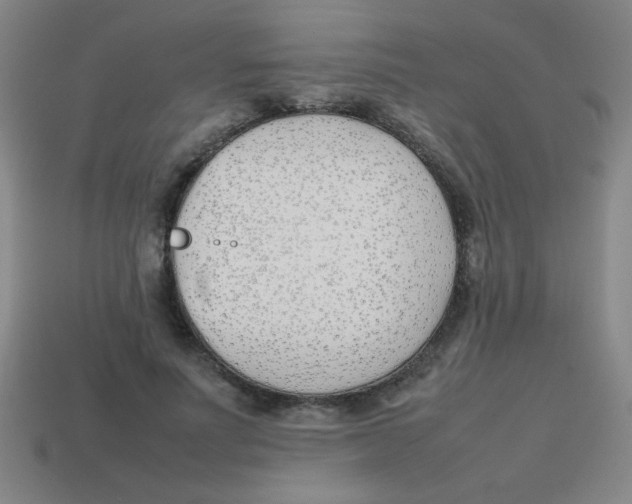 X0000113870691200910221335