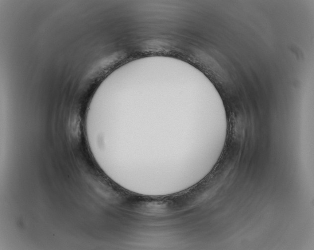 X0000113870692200910221335