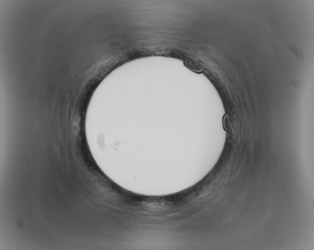 X0000113870693200910221335