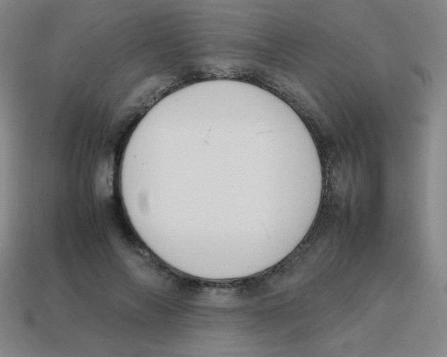 X0000113870694200910221335