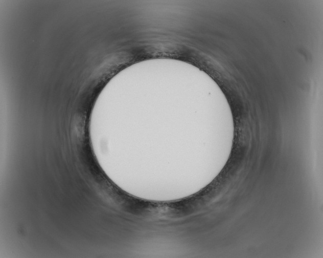 X0000113870695200910221335
