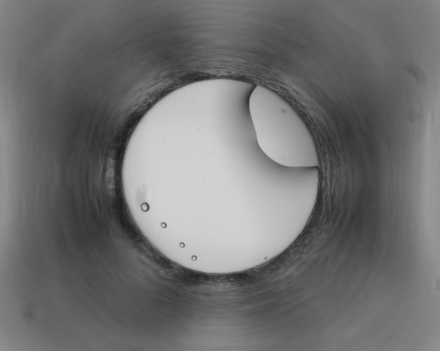 X0000113870696200910221335