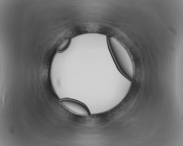 X0000113870697200910221335