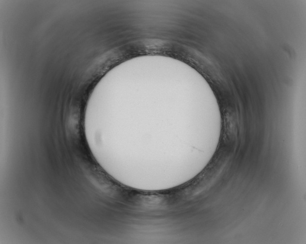 X0000113870698200910221335