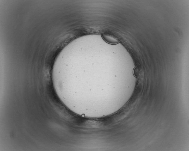 X0000113870699200910221335