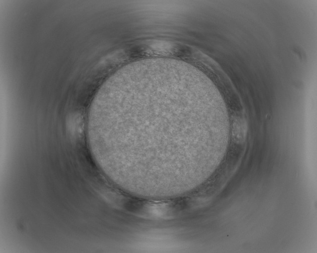 X0000113870701200910221335
