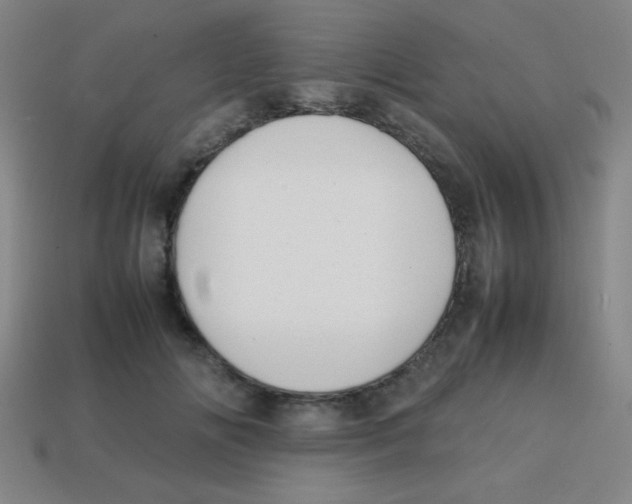 X0000113870702200910221335