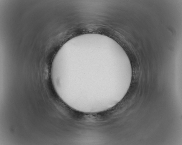 X0000113870703200910221335