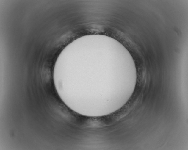 X0000113870704200910221335