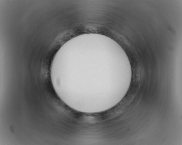 X0000113870706200910221335