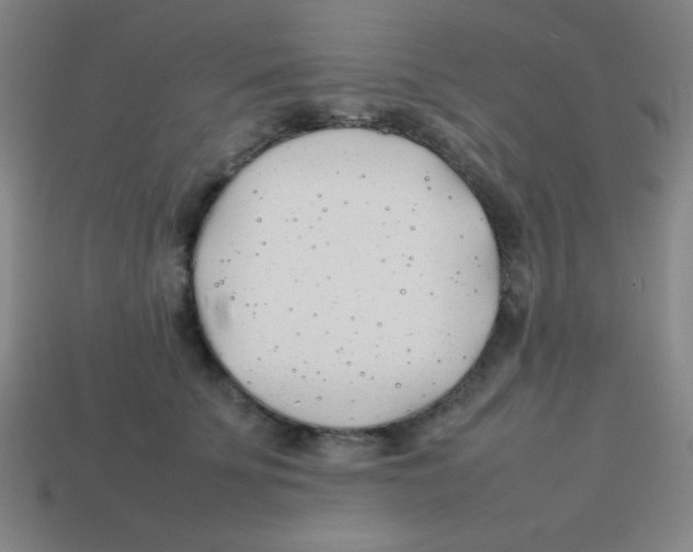 X0000113870707200910221335