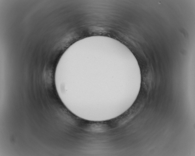 X0000113870708200910221335