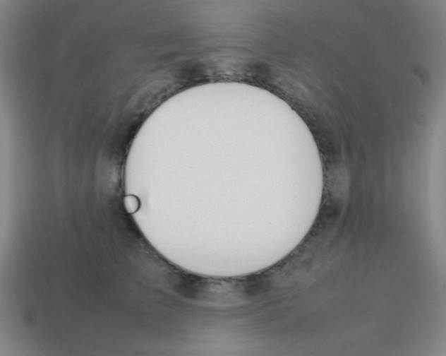 X0000113870709200910221335