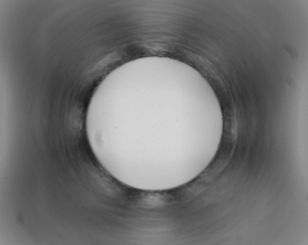 X0000113870710200910221335