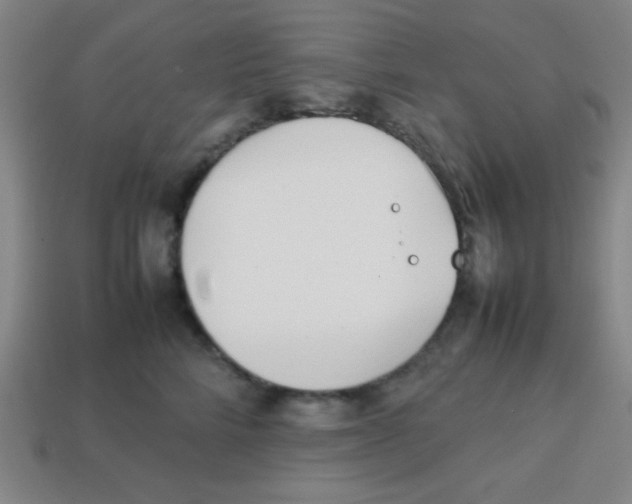 X0000113870712200910221335